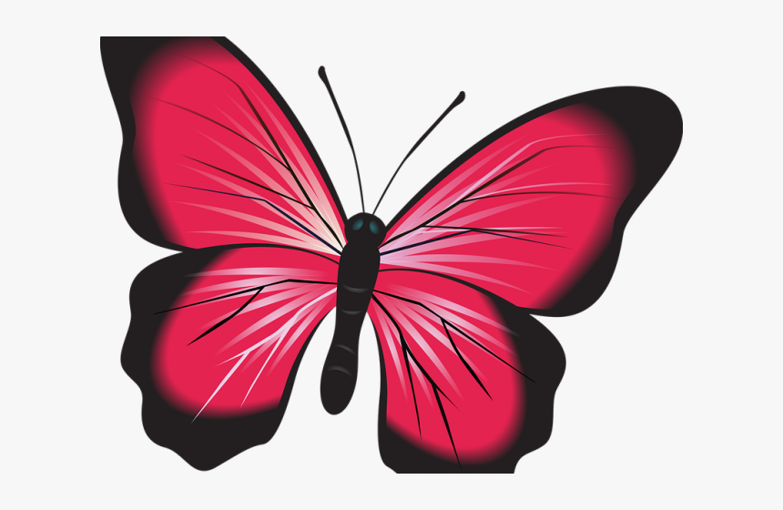 Insect Clipart Butterfly - Papil