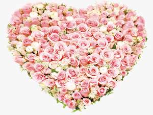 Garden Roses Beach Rose Flowers Heartshaped - Coraçao De Flores Png