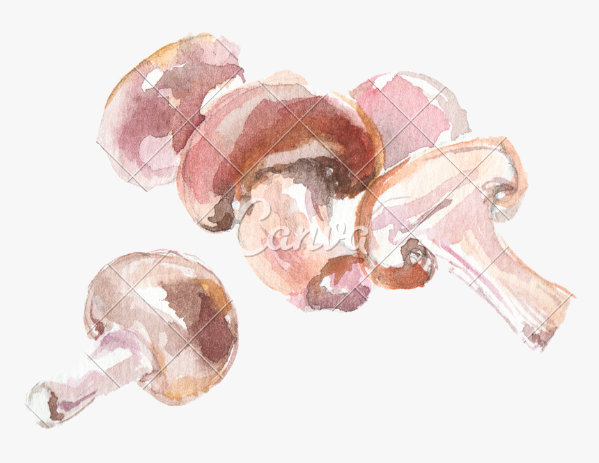 Transparent Trippy Mushroom Png 