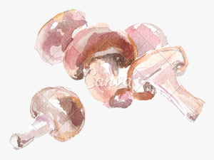 Transparent Trippy Mushroom Png - Watercolor Painting
