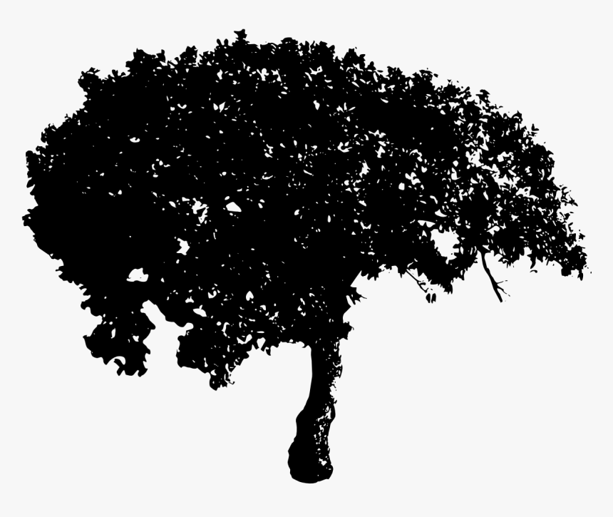 Tree-3 - Illustration Png Free D
