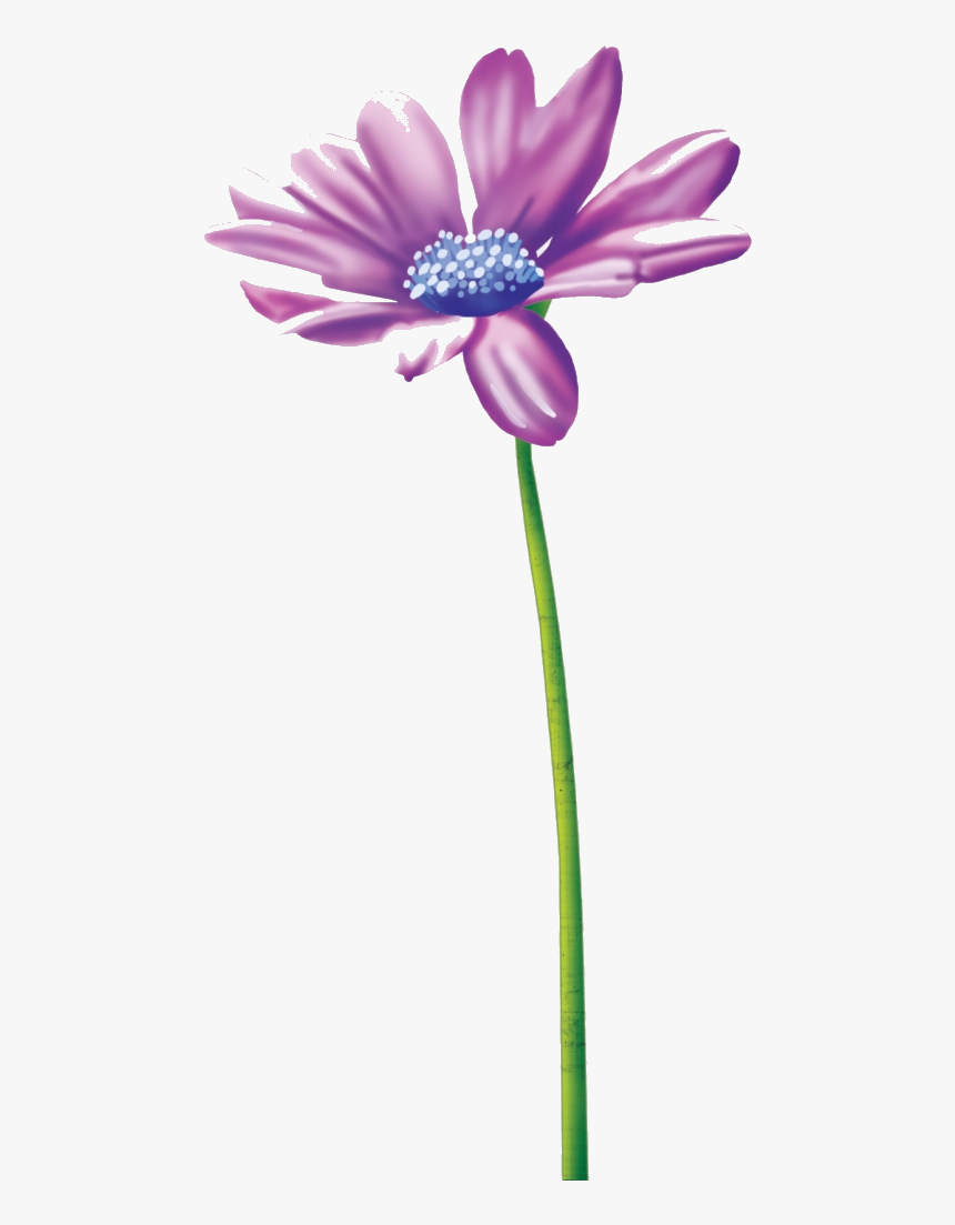Thinking Of You Flower Clipart Tube Clip Art Stationery - African Daisy
