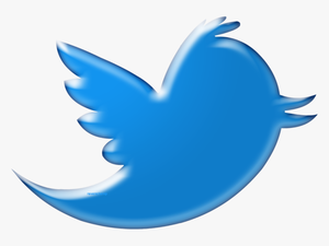 Twitter Bird Logo Png Transparent Background Vector