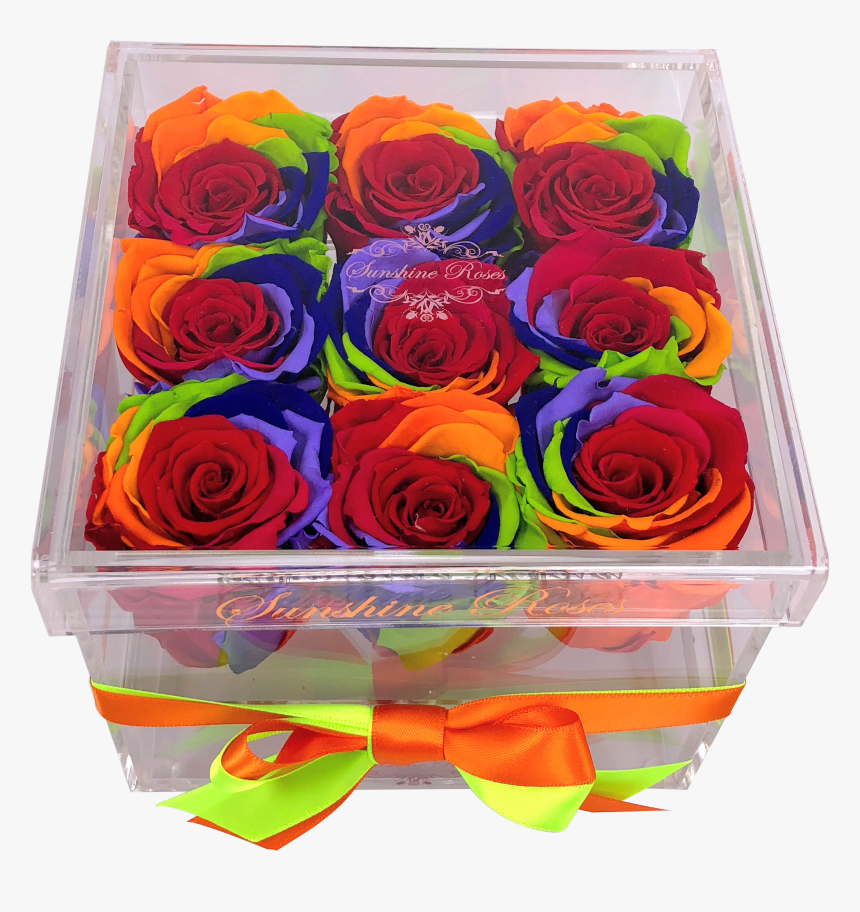 Transparent Rainbow Rose Png - Garden Roses
