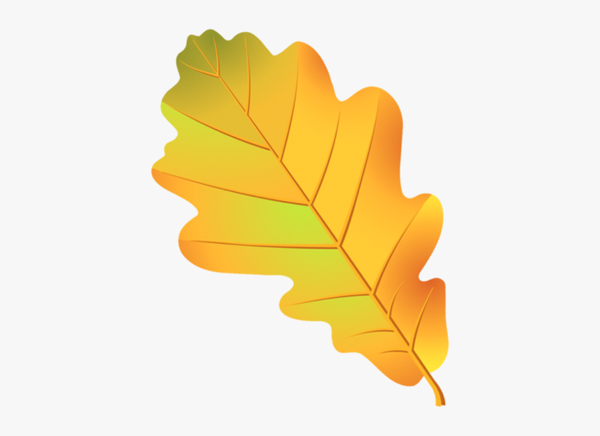 Leaf Oak Tree Acorn Drawing - Лист Дуба