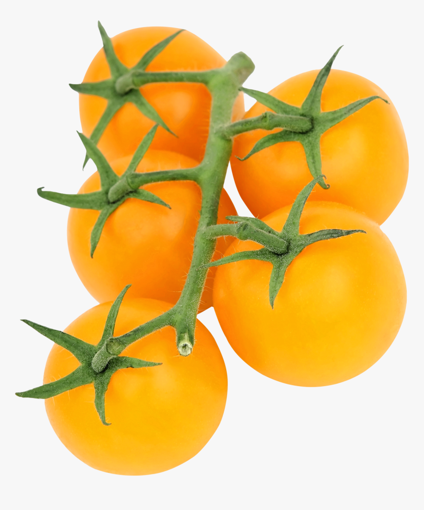 Yellow Tomato Png Image - Yellow Tomato Png