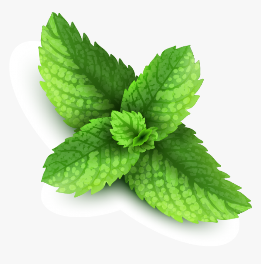 Pepermint Png Image - Peppermint Png