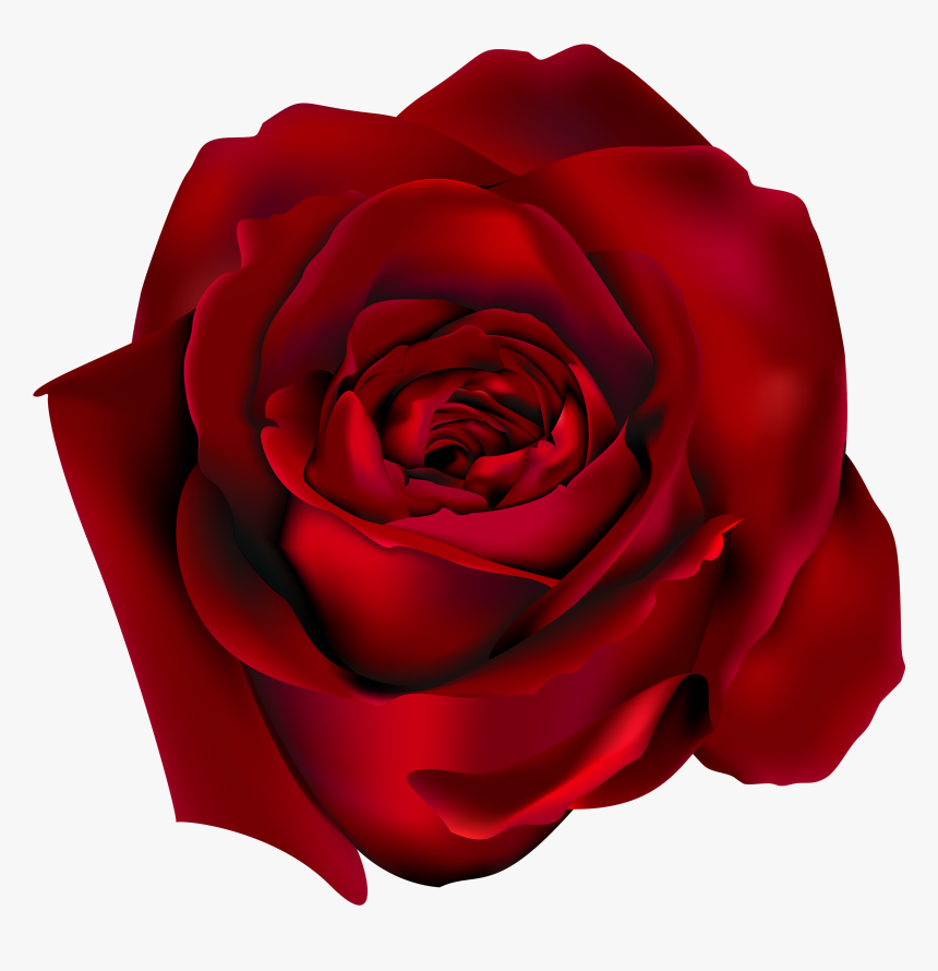Png Clipart Picture Gallery - Red Rose