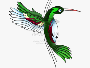Celtic Tattoos Clipart Bird - Hummingbird Tattoo Designs