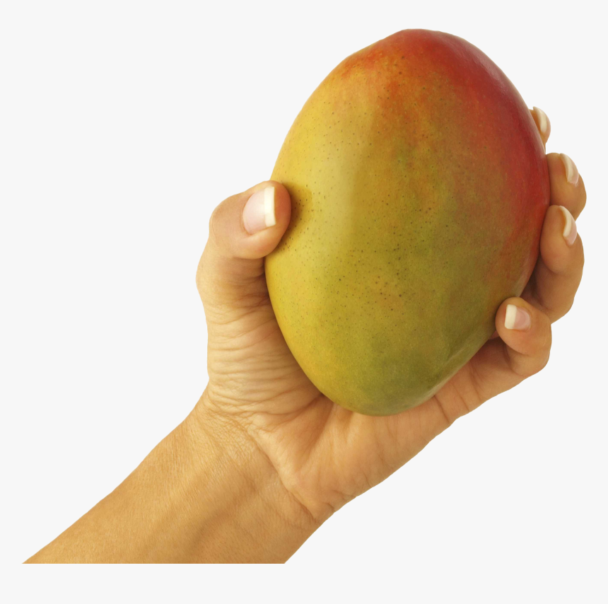 Mango In Hand Png Image - If You