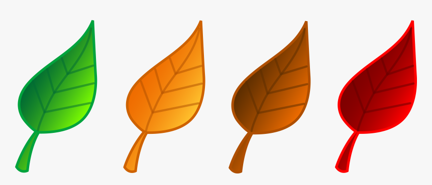 Set Of Four Tree Leaves - Colore