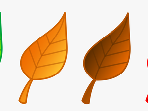 Set Of Four Tree Leaves - Colored Leaves Clip Art