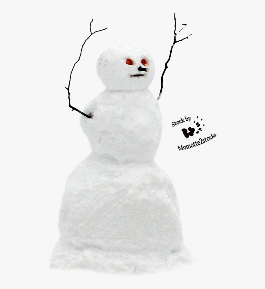 Real Snowman Transparent Backgro