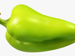 Pepper Transparent Vegetable - Green Pepper Transparent