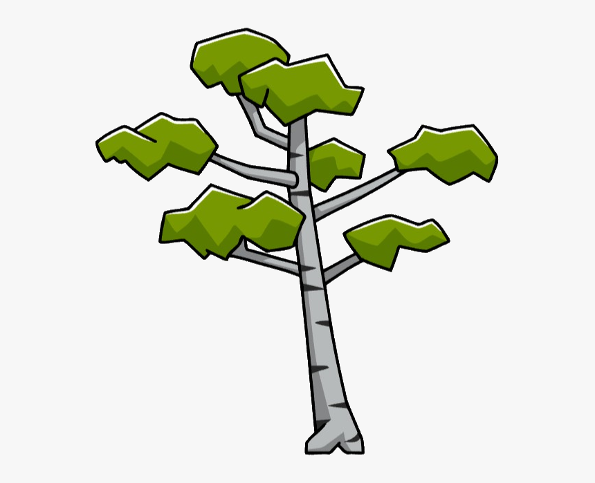 Birch Tree-0