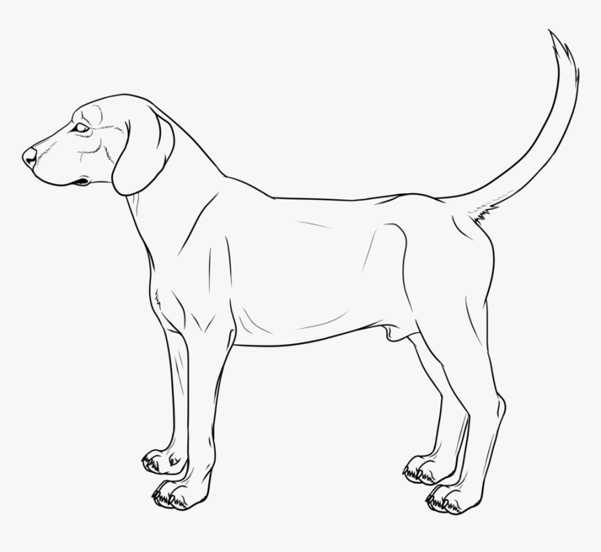 Hound Dog Lineart Cm By Galianogangster - Dog