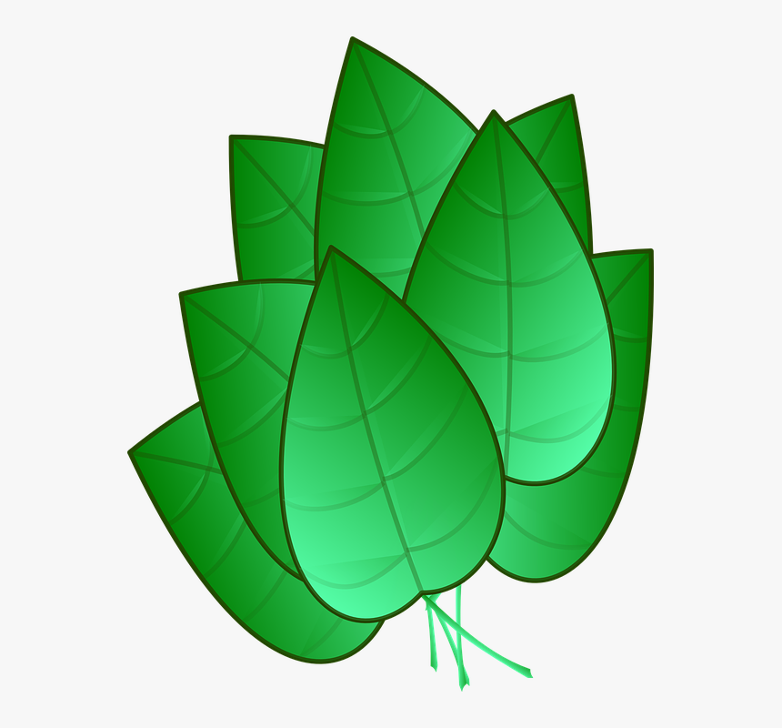 Green Leaves Clipart Tobacco Leaf - Tobacco Leaf Clipart