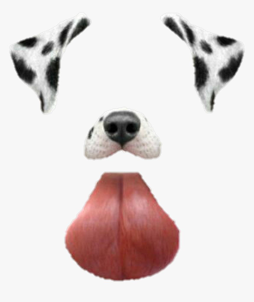 #snapchat #dog #filter