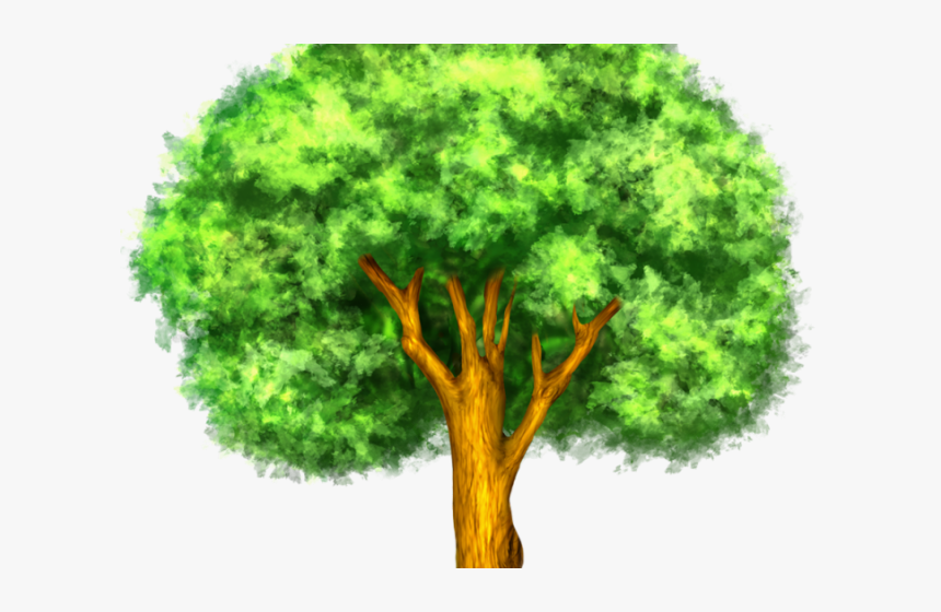 Larger Clipart Mango Tree - Plan