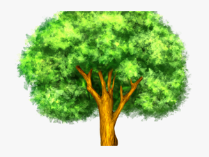 Larger Clipart Mango Tree - Plant Response To Climate Change