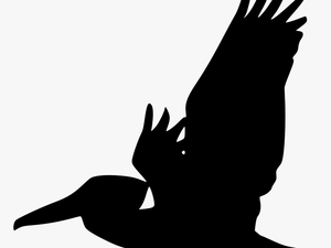 Pelican Bird Silhouette Clip Art - Pelican Silhouette Clip Art