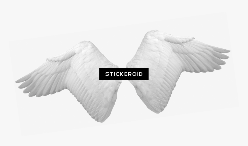 Transparent Angel Wings Clipart - Angel Wings Png