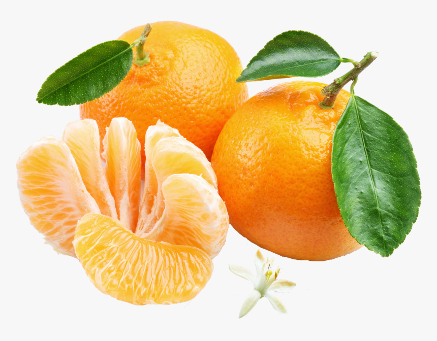 Orange Mandarin Png 