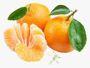 Orange Mandarin Png 