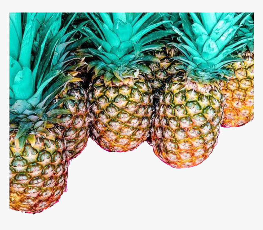 #pineapple #abacaxi #freetoedit 