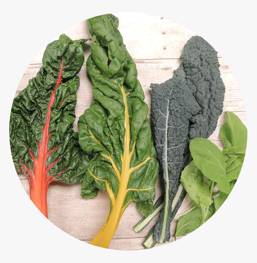 Food Green Leafy Vegetables