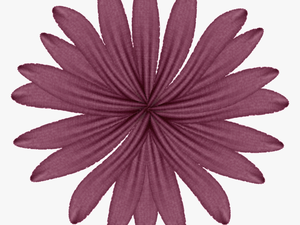 Purple Flower Photo Purpleflower - Transparent Background Simple Flower Clipart