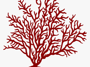 Watercolor Coral Png - Coral Clipart Png