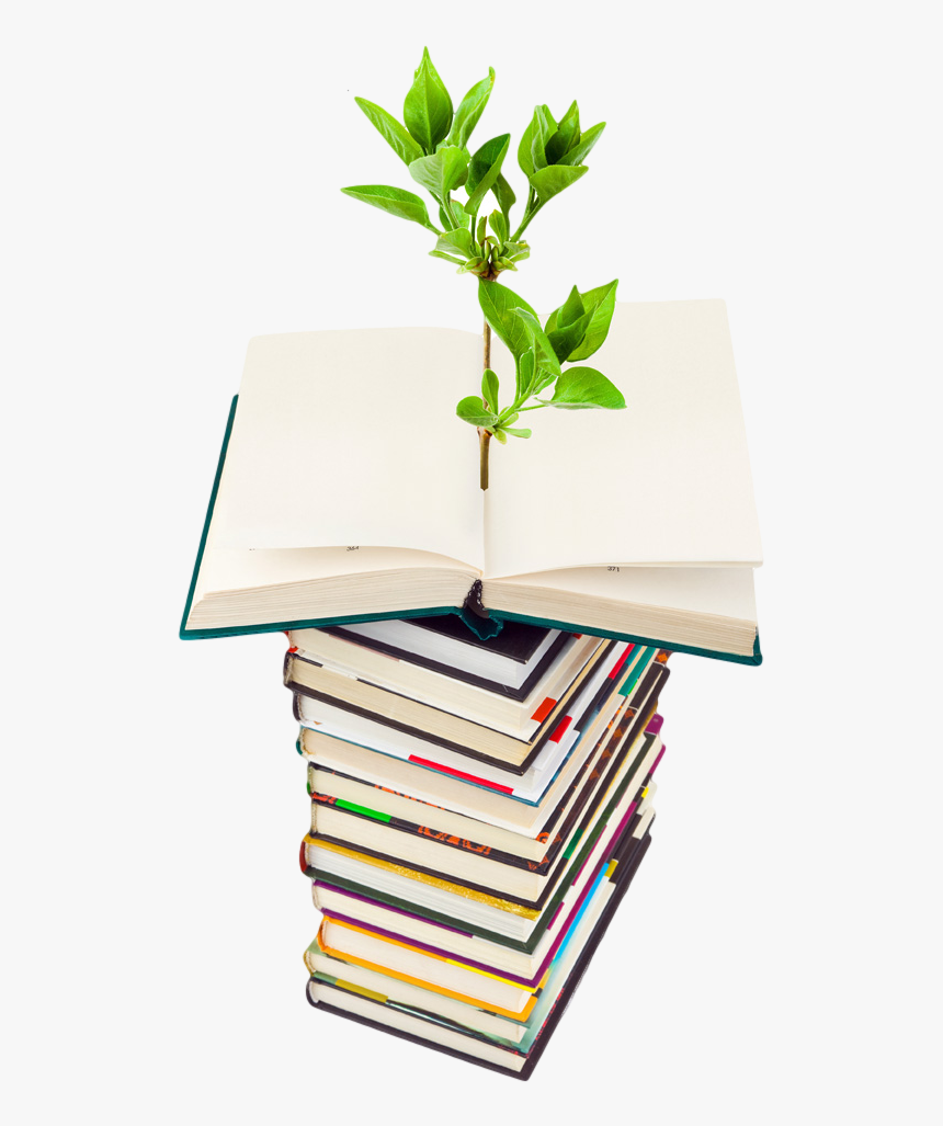 Photo Of Plant Growing From A Stack Of Books - Go Green Light Bulb