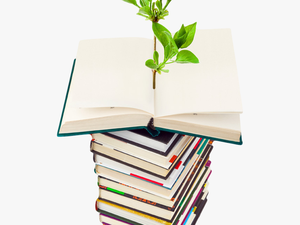 Photo Of Plant Growing From A Stack Of Books - Go Green Light Bulb
