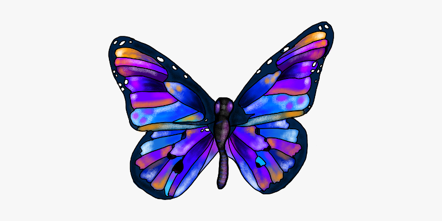Rainbow Butterfly Clipart Picsart - Butterfly Picsart