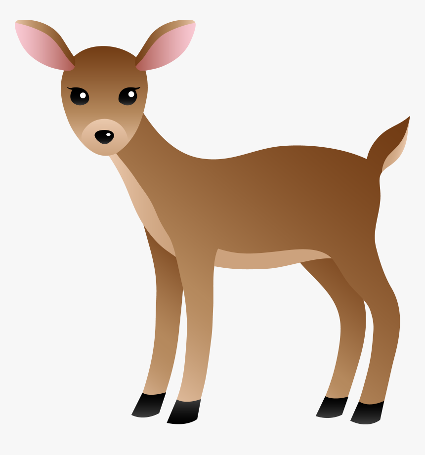 White Tailed Deer Clipart