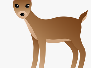 White Tailed Deer Clipart