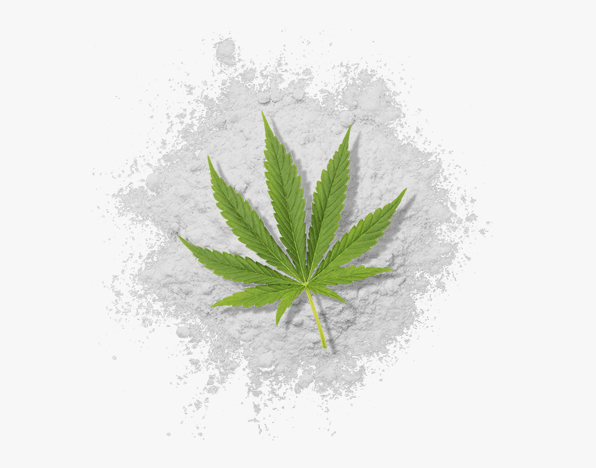 Water Soluble Thc Powder With Cannabis Leaf - Illustration