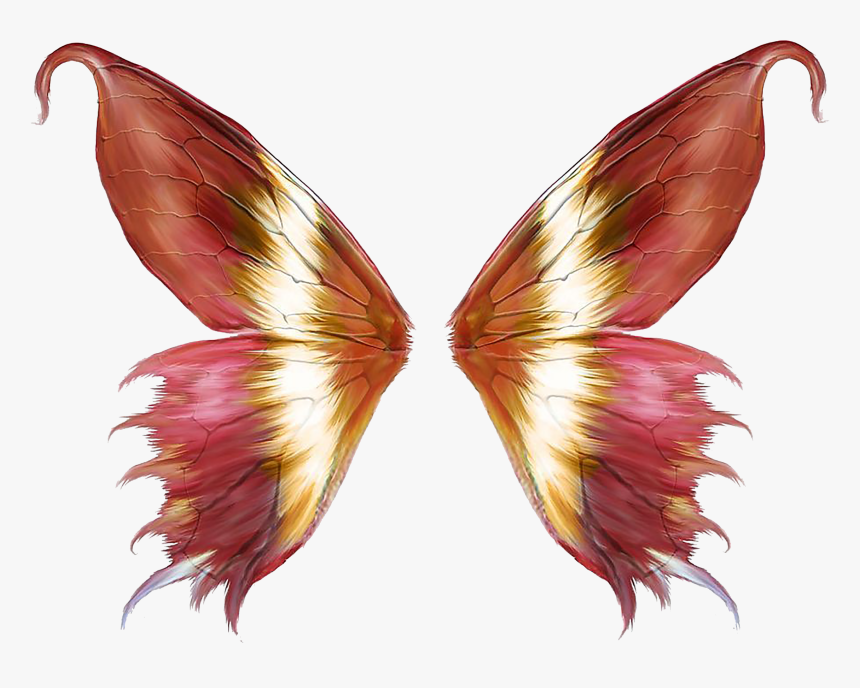 Butterfly Wings Transparent Back