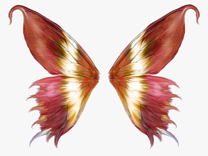 Butterfly Wings Transparent Background