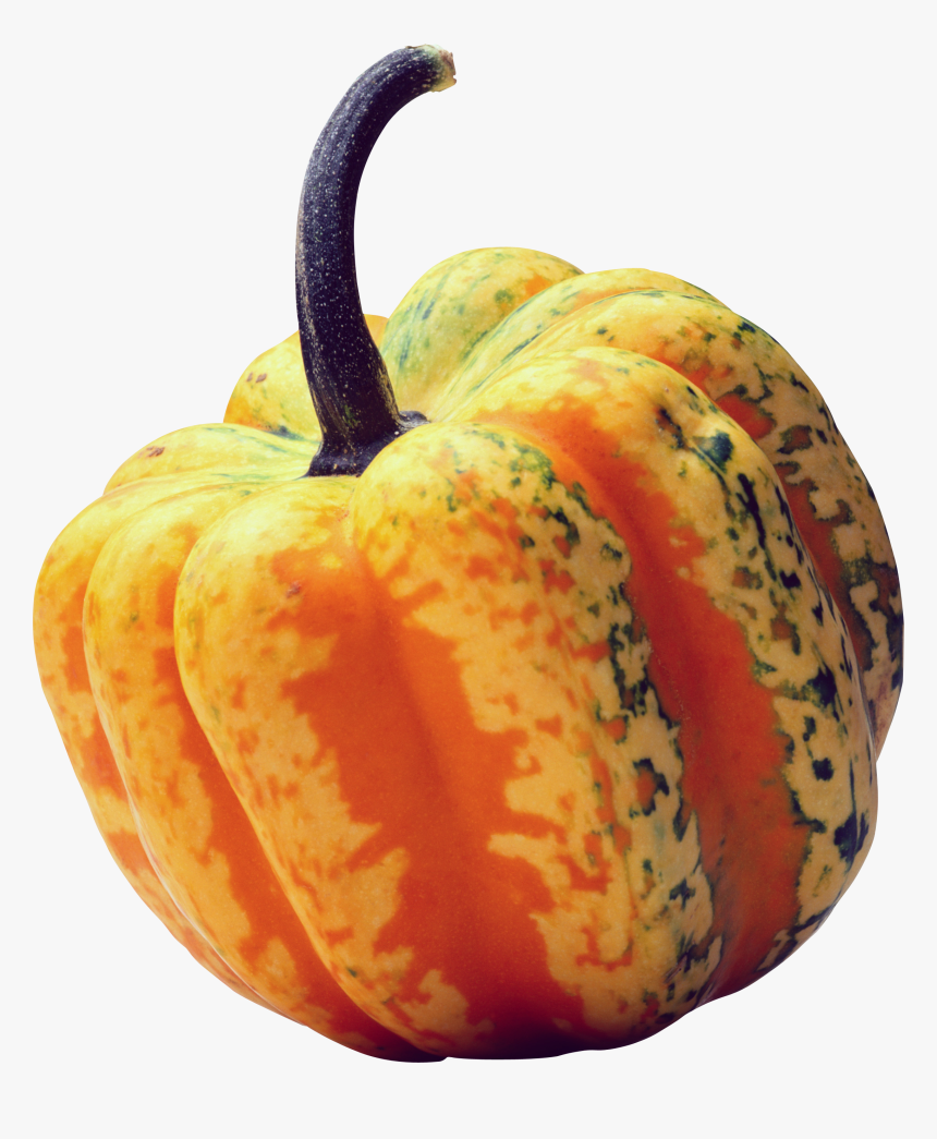 Pumpkin Png Image - Orange Pumpkin Transparent Backgroimd