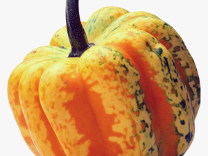 Pumpkin Png Image - Orange Pumpkin Transparent Backgroimd