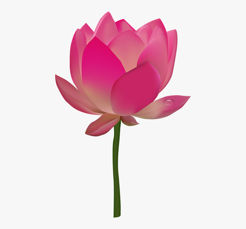 Transparent Pink Flower Emoji Pn