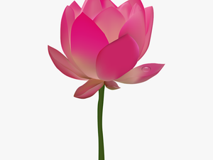 Transparent Pink Flower Emoji Png - Flower Clipart Transparent Background