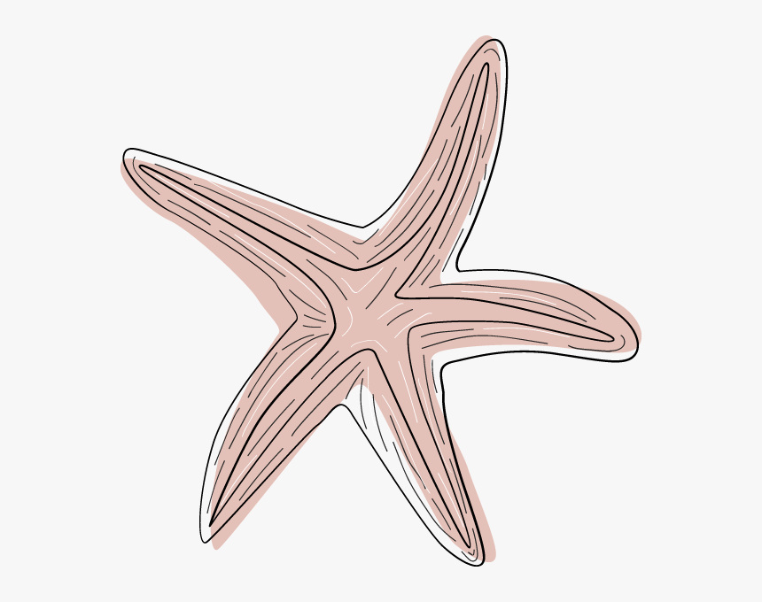 Transparent Pink Starfish Clipar