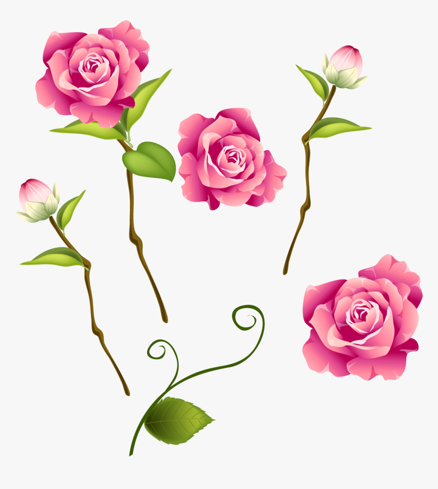 Transparent Falling Roses Png - Blossom Rose Png
