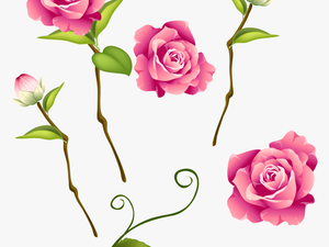Transparent Falling Roses Png - Blossom Rose Png