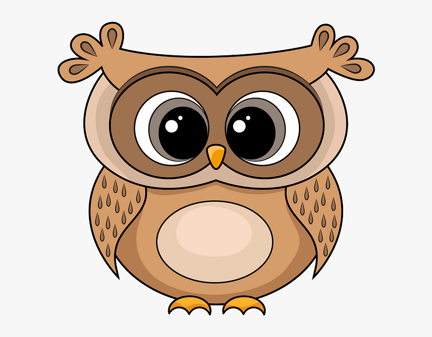 Owl Clipart