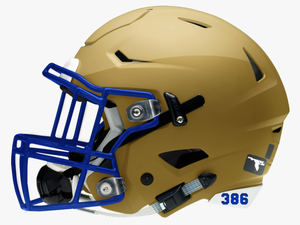 Mainland Senior High School - Charlotte 49ers Football Helmet