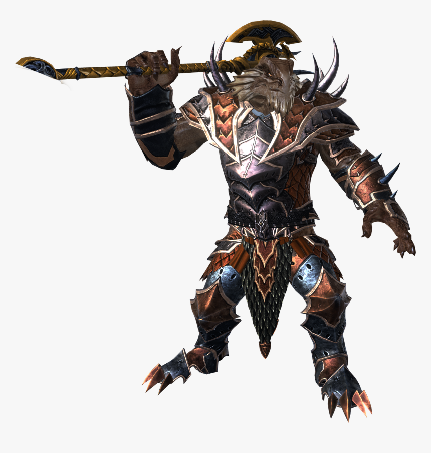 Neverwinter Personnage Png 